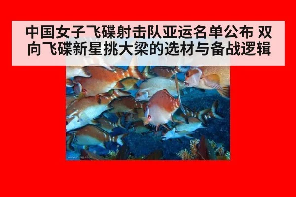 中国女子飞碟射击队亚运名单公布 双向飞碟新星挑大梁的选材与备战逻辑